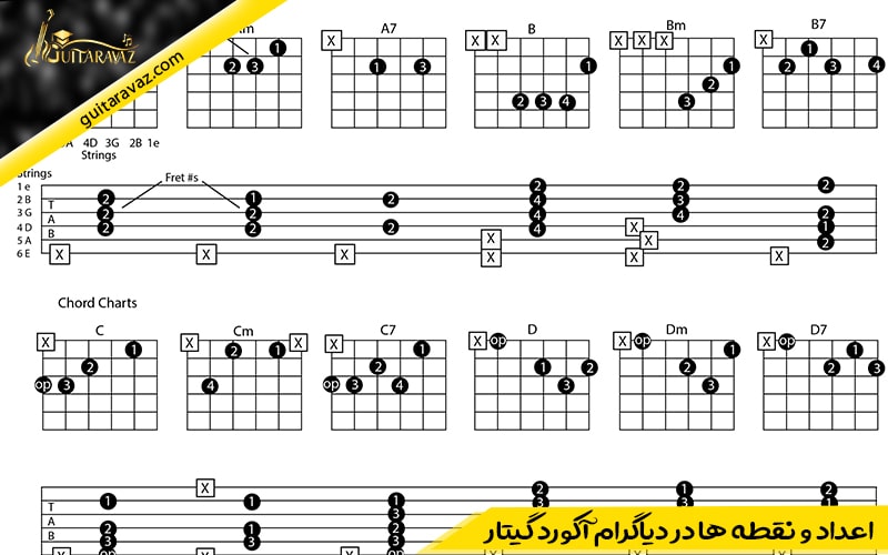اعداد و نقطه ها در دیاگرام آکورد گیتار