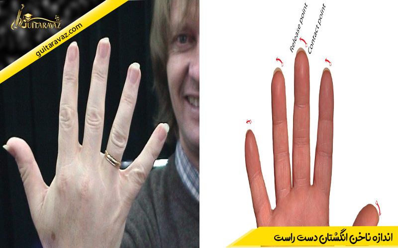 اندازه ناخن انگشتان دست راست